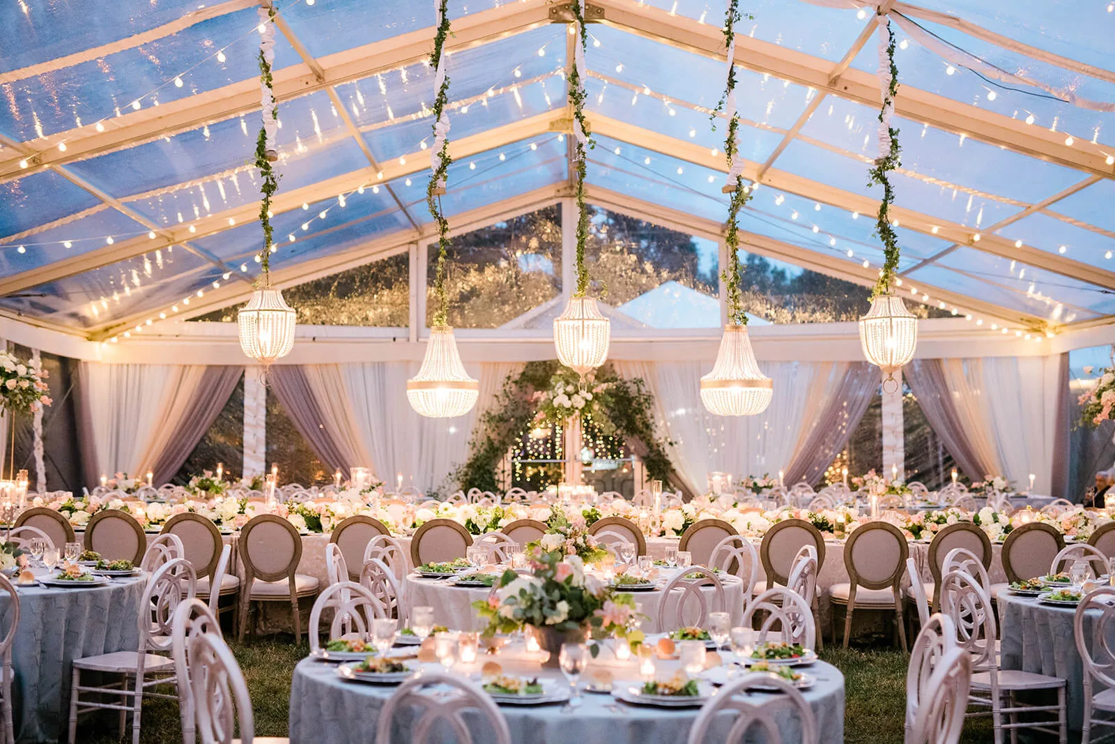 party supply rental business for sale